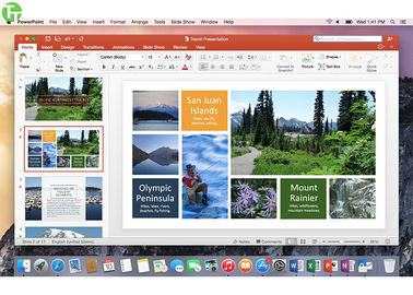 Geniune Microsoft Office 2016 Professional Retail Version COA Sticker