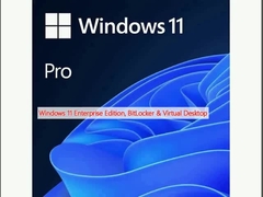 विंडोज 11 एंटरप्राइज़ संस्करण, बिटलॉकर और वर्चुअल डेस्कटॉप